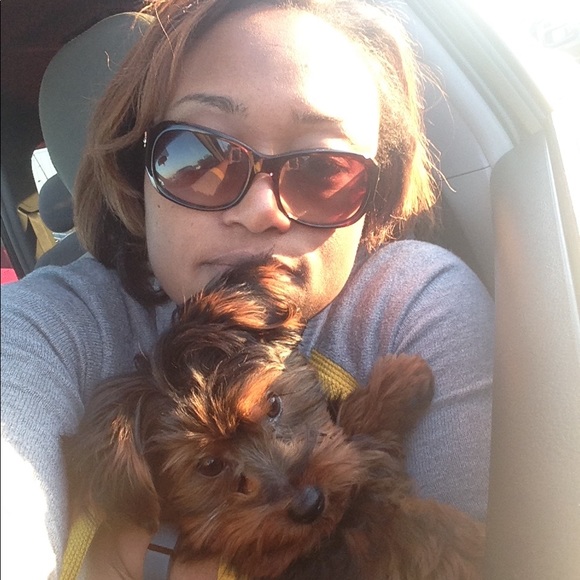 Meet your Posher, Aris - Picture 4 of 4